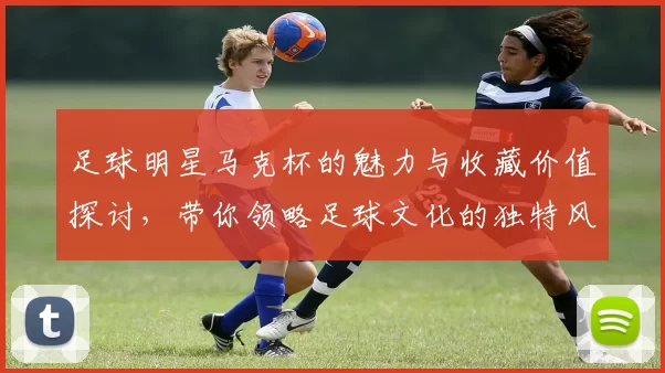 足球明星马克杯的魅力与收藏价值探讨，带你领略足球文化的独特风采