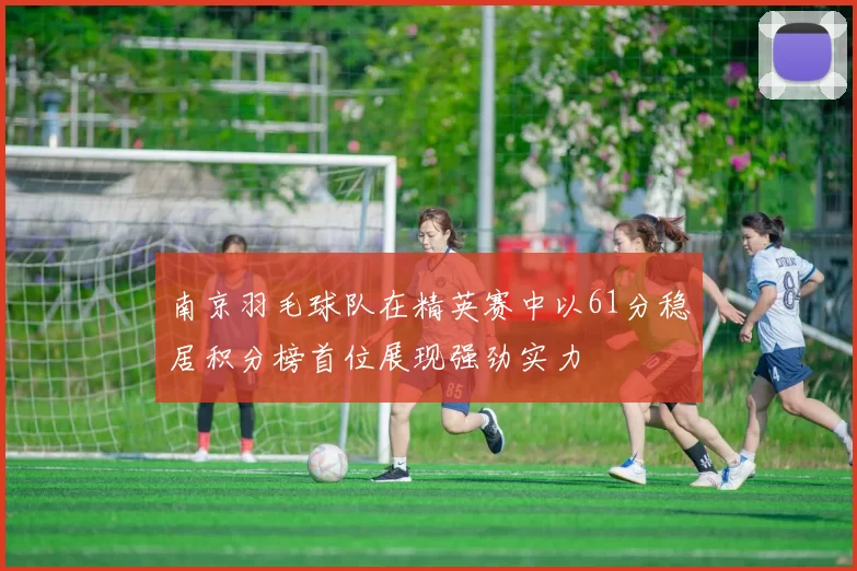 南京羽毛球队在精英赛中以61分稳居积分榜首位展现强劲实力