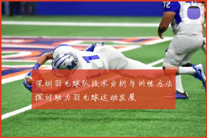 深圳羽毛球队技术分析与训练方法探讨助力羽毛球运动发展