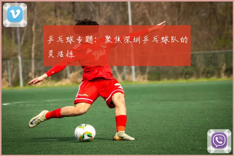 乒乓球专题：聚焦深圳乒乓球队的灵活性