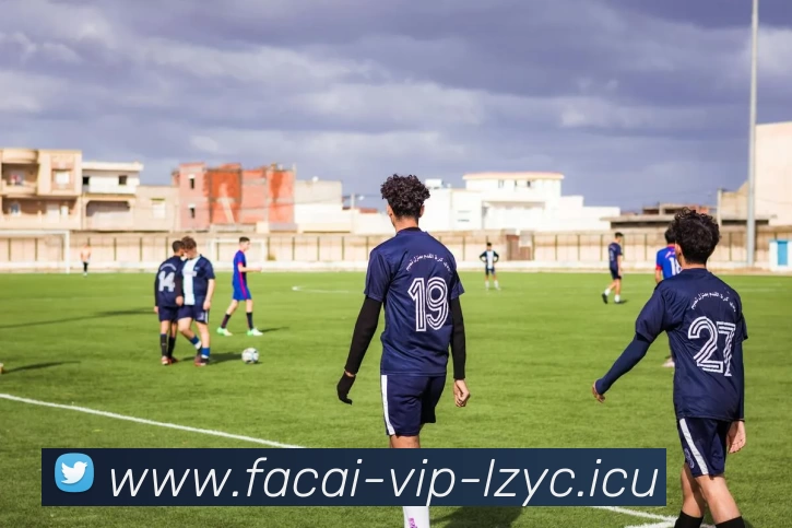 爱游戏体育注册平台生态图